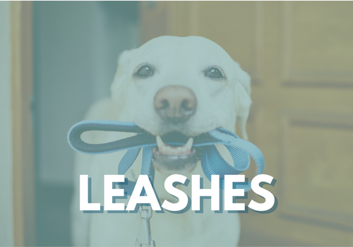 leashes