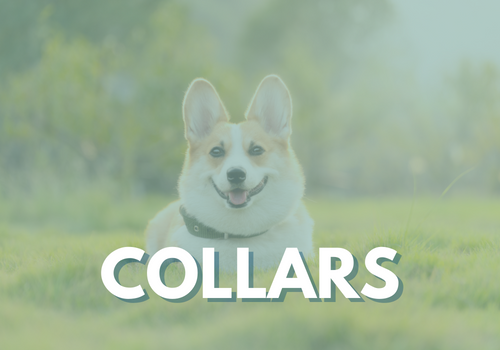 collars